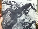 Rare LP Diana In The Autumn Wind The Gap Mangione Trio GRC ORIGINAL LABEL Jazz