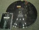 David bowie Picture disc LP Ziggy Stardust Limited edition and Certificate