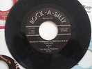 Willie & The String Poppers -  Whatever happened to that Rock&Roll - Rab 101