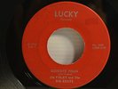 Jim Foley Original Rockabilly 45 - Goodbye Train/Blues in the Morning