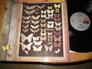 Mayfly  LP  original Dutch psychedelic folk 1973 Pokora list