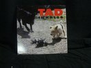 Rare  TAD , INHALER ,ORIG VINYL LP 1993 / GIANT /  NM  NIRVANA , GRUNGE NR