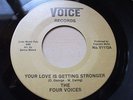 Northern Soul---THE FOUR VOICES  