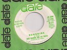 DICK WAGNER and the FROSTS  Sunshine / Little Girl Mod Garage Fuzz Psych 45 HEAR
