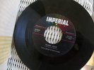 Rockabilly 45/Imperial 1483/Burnette Brothers/Johnny  & Dorsey/Warm Love/My Hone