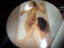 RARE KEVIN WET SEXY NUDE CHEESECAKE PICTURE disc Wet The Dreamer LP MINT VV1003