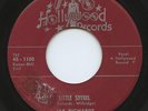 Rare R&B / Doo Wop 45 - Jay Richards - Little Shyrel - HEAR - Very Strong VG+