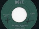 Companions-Falling-Dove Doo Wop 45 
