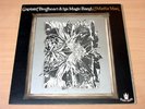 EX/EX-  Captain Beefheart & His Magic Band/Mirror Man/1971 Buddah Gatefold LP