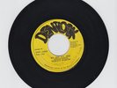 DENLOCK/WE ARE ALL ONE  -  HORACE MARTIN    ( REGGAE  7