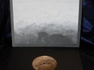 LP EIDETIC SEEING - DRINK THE SUN/PRIVAT lim.300 psychRock WHITE HILLS HAWKWIND