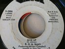 SWEET SOUL ....R.D.M BAND (VIRTUE)
