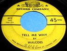THE WALCOES Tell Me Why 45 Rare CT Doo Wop Drum Label Listen