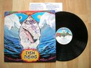 STEVE HILLAGE fish rising VIRGIN UK w/insert MINT