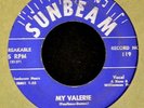 HEAR IT DOO WOP The Note-Torials Sunbeam 119 My Valerie