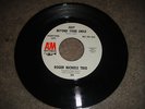 ROGER NICHOLS TRIO 45 sunshine pop 1967 JUST BEYOND YOUR SMILE & I'LL BE BACK