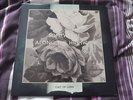 RARE CULT OF LUNA 2LP, ISIS, NEUROSIS, CONVERGE, OLD MAN GLOOM