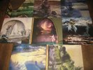 John Frusciante Vinyl Discography - 8 LP Records