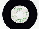 THE FI-DELS Try A Little Harder / You Never Do Right 7