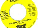 Rare 1982 U.S. Punk Power Pop 45 Haze Goodbye Holly Private Pressing Listen