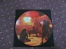 Immortal - Diabolical Fullmoon Mysticism  Picture Disc