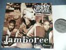 NAUGHTY BY NATURE US AMERICA 1999 NM 12