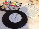 The Beatles Christmas Record - Pantomime - Fan Club Flexi