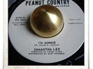 Samantha Lee I'm Minnie R&B NORTHERN SOUL MOD HEAR 45