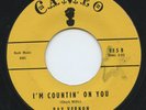 Rare Rockabilly / Teen 45 - Ray Vernon - I'm Countin' On You - Cameo #115 - HEAR