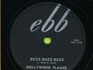 HOLLYWOOD FLAMES Buzz-Buzz-Buzz / Crazy     R&B - SOUL 78  RPM  RECORD