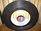 THE CHERRY SLUSH I Cannot Stop You / Don't Walk Away USA Garage 45 Dick Wagner