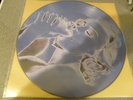 Madonna Picture disc LP Erotica MINT unplayed
