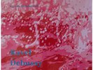 AGNELLE BUNDERVOET-RAVEL/DEBUSSY-TEST PRESSING-COUP D'ARCHET OR Vlll - N/N-