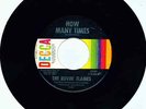 Florida Garage The Rovin' Flames How Many Times Decca 45 32191