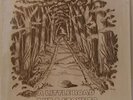 A Little Road And A Stone to Roll LP Illinois private press folk-rockrarity 1981