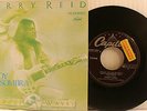 Terry Reid Ain't No Shadow / Walk Away Rene Spain PROMO Import 45 W/PS
