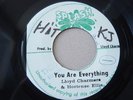 LLOYD CHARMERS & HORTENSE ELLIS You Are Everything 45 reggae 7