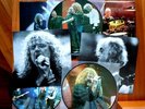 LE ZE - THE GRAND LEVITAT1ON live 2007 RARE PICTURE DISC 3 LP, 200 MADE, NO TMOQ