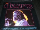 THE DOORS Last Screams of the Butterfly vinyl 2-LP unplayed EU