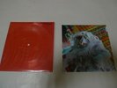 JEFF THE BROTHERHOOD - Something in the way RED FLEXI 7