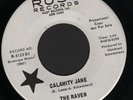 (Hear) 1968 The Raven Mod Garage Freakbeat Fuzz DJ 45 (Calamity Jane)