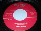 LP 45 GIRI _ JIMMY SEDLAR _ UNDERSTANDING/SHORTY'S GOT TO GO _ BIG M RECORDS