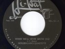 BLACK GOSPEL 45: GOLDEN LARKS QUARTETTE. RARE++++ C. 1958. HI-HAT. VG++.DOO-WOP