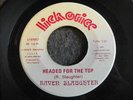 RARE Ohio Metal 45 - RAVEN SLAUGHTER 