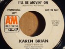 Karen Brian - Mornin' I'll Be Movin' On / Rare Roger Nichols Sunshine Pop Promo