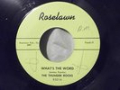WHAT'S THE WORD - JOHNNY SAX - The Thunder Rocks -7
