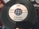 record 45 rare Blues John Lee Hooker on Elmor Big Fine Woman / Blues for X VG++