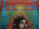 Paul Parrish- the Forest Of My mind   psych