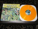 Bracket Live In A Dive gold yellow rare nofx Fat Wreck NUFAN Lagwagon Strung Out