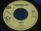 Lefty & Leadsmen   Wildwood Fun   Go & Ce   PA frat garage rocker 45 HEAR